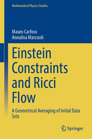 Mauro Carfora, Annalisa Marzuoli - Einstein Constraints and Ricci Flow, Inbunden