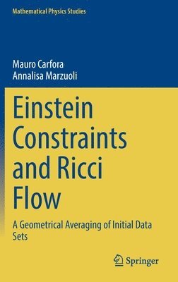 Mauro Carfora, Annalisa Marzuoli - Einstein Constraints and Ricci Flow, Inbunden