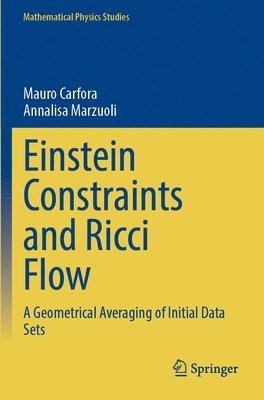 Mauro Carfora, Annalisa Marzuoli - Einstein Constraints and Ricci Flow, Häftad