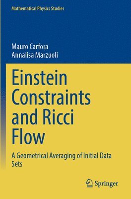 Einstein Constraints and Ricci Flow 1