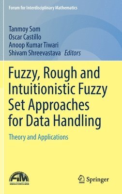 bokomslag Fuzzy, Rough and Intuitionistic Fuzzy Set Approaches for Data Handling