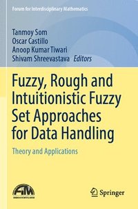 bokomslag Fuzzy, Rough and Intuitionistic Fuzzy Set Approaches for Data Handling