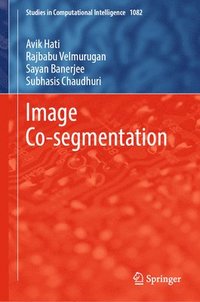 bokomslag Image Co-segmentation