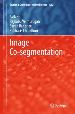 Image Co-segmentation 1
