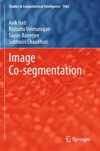 bokomslag Image Co-segmentation