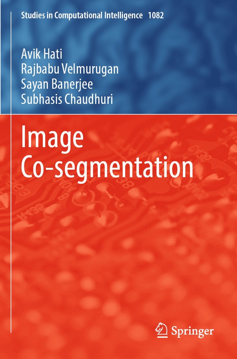 Avik Hati, Rajbabu Velmurugan, Sayan Banerjee, Subhasis Chaudhuri - Image Co-segmentation, Häftad