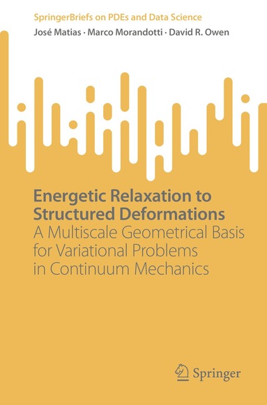 José Matias, Marco Morandotti, David R. Owen - Energetic Relaxation to Structured Deformations, Häftad