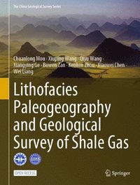 bokomslag Lithofacies Paleogeography and Geological Survey of Shale Gas