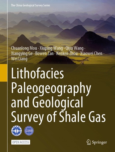Chuanlong Mou, Xiuping Wang, Qiyu Wang, Xiangying Ge, Bowen Zan, Kenken Zhou, Xiaowei Chen, Wei Liang - Lithofacies Paleogeography and Geological Survey of Shale Gas, Inbunden