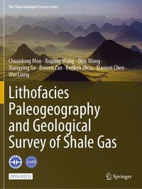 bokomslag Lithofacies Paleogeography and Geological Survey of Shale Gas