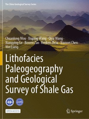 Lithofacies Paleogeography and Geological Survey of Shale Gas 1