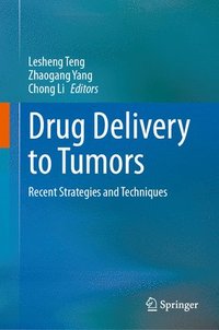 bokomslag Drug Delivery to Tumors