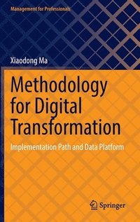 bokomslag Methodology for Digital Transformation