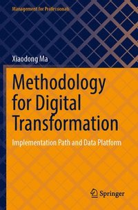 bokomslag Methodology for Digital Transformation