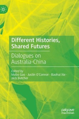 bokomslag Different Histories, Shared Futures