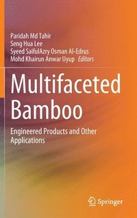 bokomslag Multifaceted Bamboo