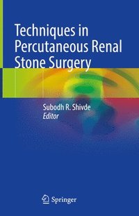 bokomslag Techniques in Percutaneous Renal Stone Surgery