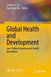 bokomslag Global Health and Development