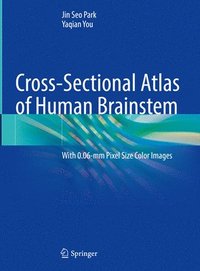 bokomslag Cross-Sectional Atlas of Human Brainstem