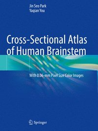 bokomslag Cross-Sectional Atlas of Human Brainstem