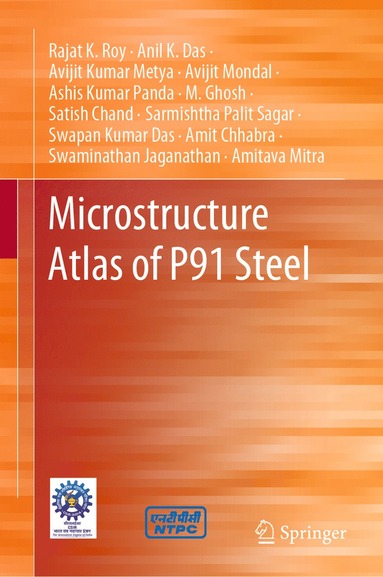 bokomslag Microstructure Atlas of P91 Steel