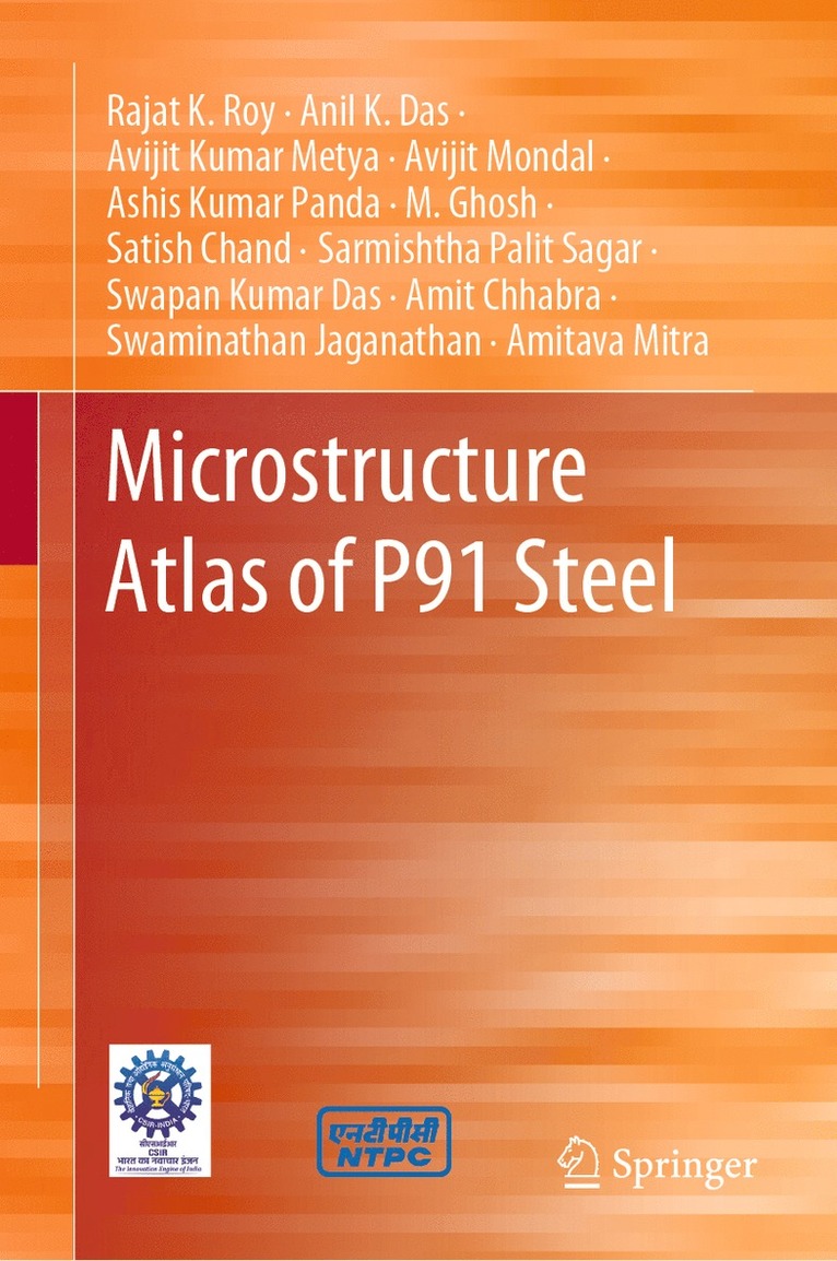 Rajat K. Roy, Anil K. Das, Avijit Kumar Metya, Avijit Mondal, Ashis Kumar Panda, M. Ghosh, Satish Chand, Sarmishtha Palit Sagar, Swapan Kumar Das, Amit Chhabra, Swaminathan Jaganathan, Amitava Mitra - Microstructure Atlas of P91 Steel, Inbunden