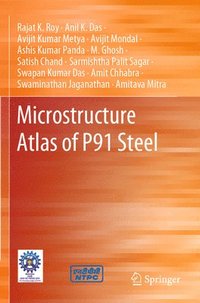 bokomslag Microstructure Atlas of P91 Steel
