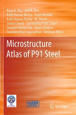 bokomslag Microstructure Atlas of P91 Steel