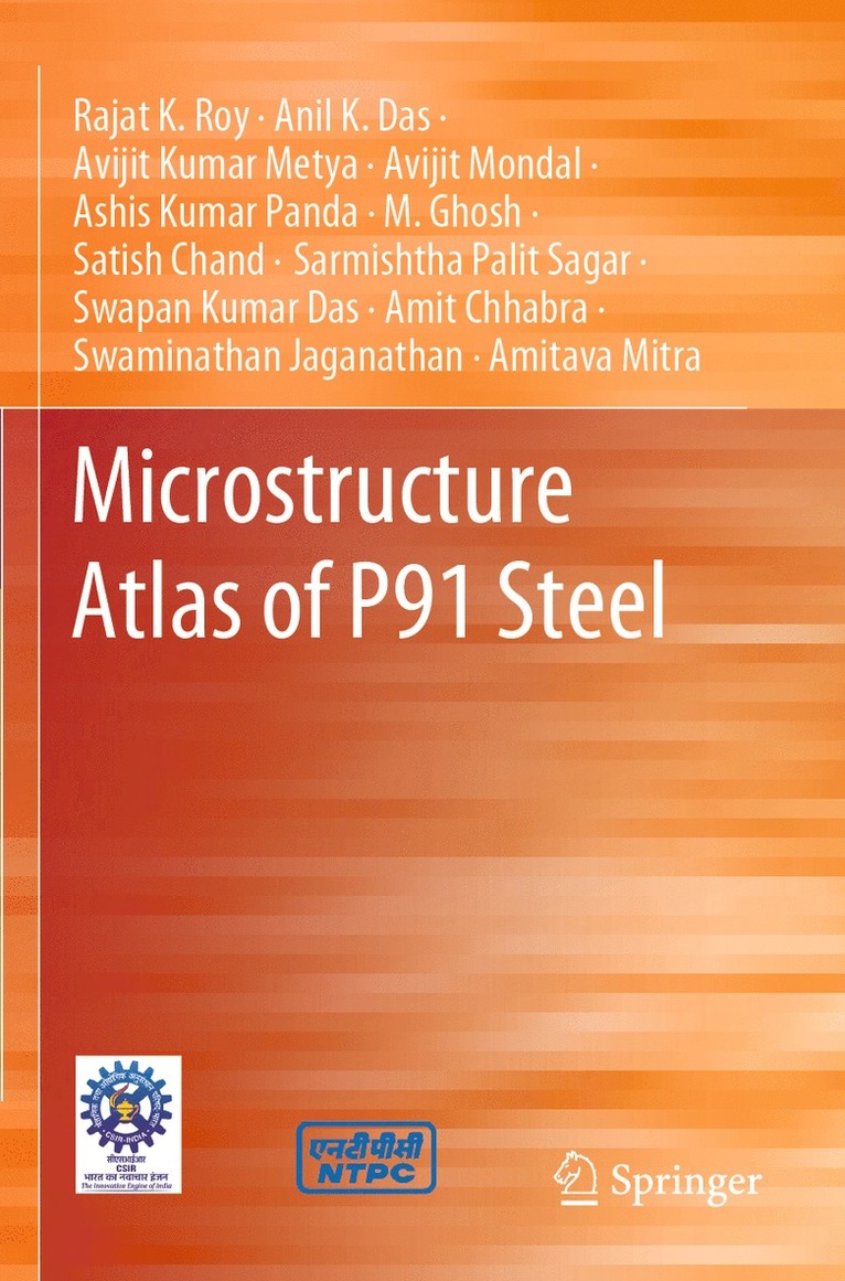Rajat K. Roy, Anil K. Das, Avijit Kumar Metya, Avijit Mondal, Ashis Kumar Panda, M. Ghosh, Satish Chand, Sarmishtha Palit Sagar, Swapan Kumar Das, Amit Chhabra, Swaminathan Jaganathan, Amitava Mitra - Microstructure Atlas of P91 Steel, Häftad