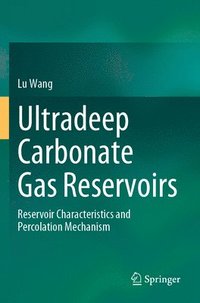 bokomslag Ultradeep Carbonate Gas Reservoirs
