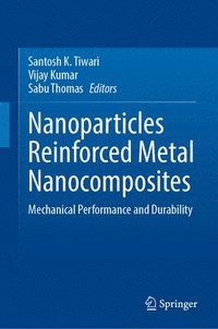bokomslag Nanoparticles Reinforced Metal Nanocomposites
