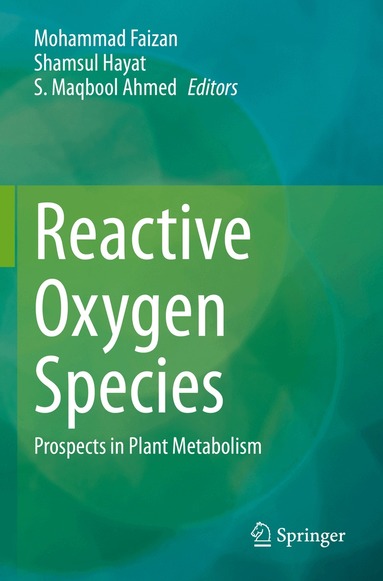 Mohammad Faizan, Shamsul Hayat, S. Maqbool Ahmed - Reactive Oxygen Species, Häftad