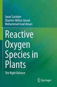 bokomslag Reactive Oxygen Species in Plants
