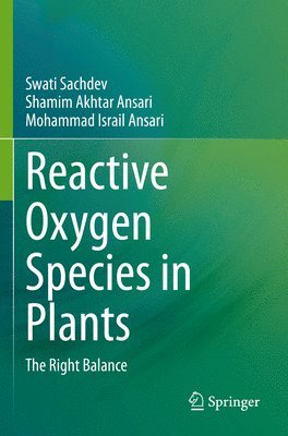 bokomslag Reactive Oxygen Species in Plants