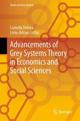 bokomslag Advancements of Grey Systems Theory in Economics and Social Sciences