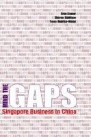 bokomslag Mind the GAPS