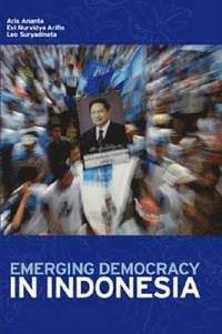bokomslag Emerging Democracy in Indonesia