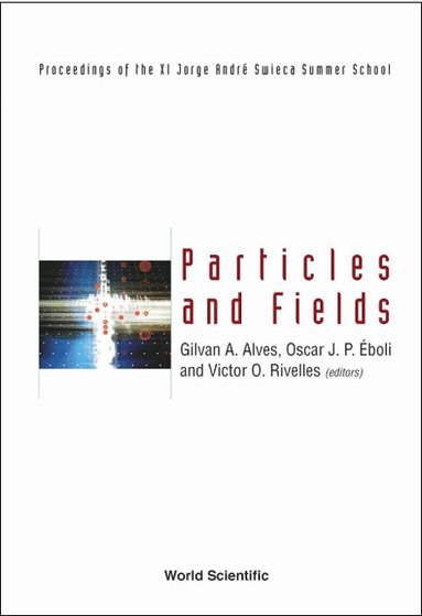 ALVES GILVAN A, Gilvan A Alves, Oscar J P Eboli, Victor O Rivelles - PARTICLES AND FIELDS: PROCEEDINGS OF THE XI JORGE ANDRE SWIECA SUMMER SCHOOL, Inbunden