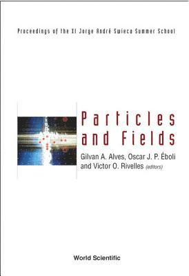 bokomslag Particles And Fields: Proceedings Of The Xi Jorge Andre Swieca Summer School