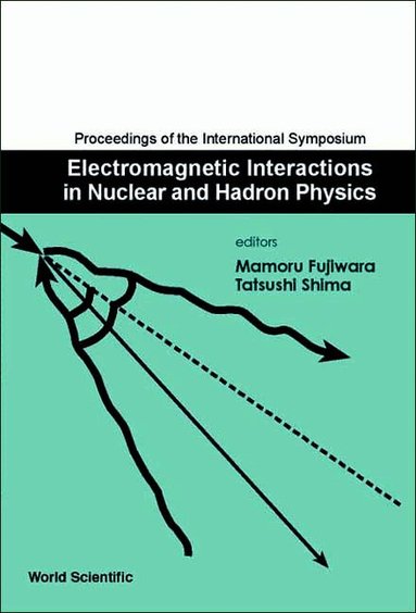 FUJIWARA MAMORU, Mamoru Fujiwara, Tatsushi Shima - ELECTROMAGNETIC INTERACTIONS IN NUCLEAR AND HADRON PHYSICS, PROCEEDINGS OF THE INTERNATIONAL SYMPOSIUM, Inbunden