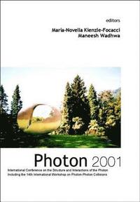 bokomslag Photon 2001, Procs Of The Intl Conf On The Structure And Interactions Of The Photon Including The 14th Intl Workshop On Photon-photon Collisions