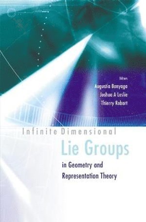 bokomslag Infinite Dimensional Lie Groups In Geometry And Representation Theory