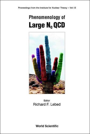 LEBED RICHARD F, Richard F Lebed - PHENOMENOLOGY OF LARGE NC QCD, Inbunden