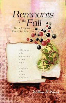 bokomslag Remnants Of The Fall: Revelations Of Particle Secrets