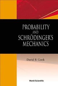 bokomslag Probability And Schrodinger's Mechanics