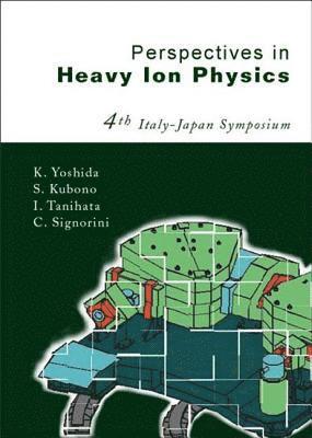 bokomslag Perspectives In Heavy Ion Physics, Proceedings Of The 4th Italy-japan Symposium
