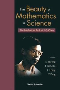 bokomslag Beauty Of Mathematics In Science, The: The Intellectual Path Of J Q Chen