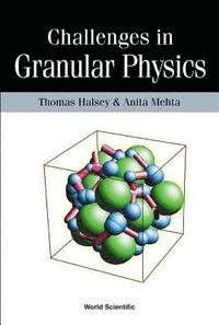 bokomslag Challenges In Granular Physics