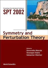 bokomslag Symmetry And Perturbation Theory - Proceedings Of The International Conference On Spt 2002