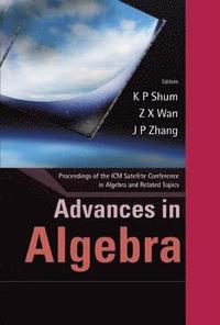 bokomslag Advances In Algebra - Proceedings Of The Icm Satellite Conference In Algebra And Related Topics